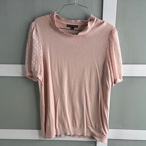 Adrianna Papell Light Pink Blouse with Sheer Sleeves